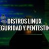 5 Mejores Distros Linux para Pruebas de Seguridad 17 Figura encapuchada frente a un portátil con el texto "Distros Linux Seguridad y Pentesting" sobre un fondo de código.