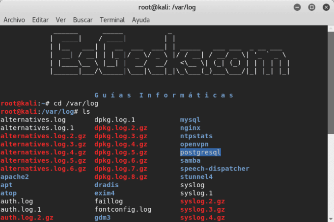 Cómo revisar los registros (logs) del sistema en Linux » EsGeeks