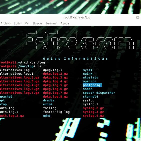 DistroTest: +200 distribuciones de Linux desde el navegador » EsGeeks