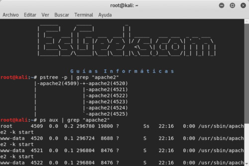 Cómo usar Kill, Pkill y Killall para matar cualquier proceso » EsGeeks