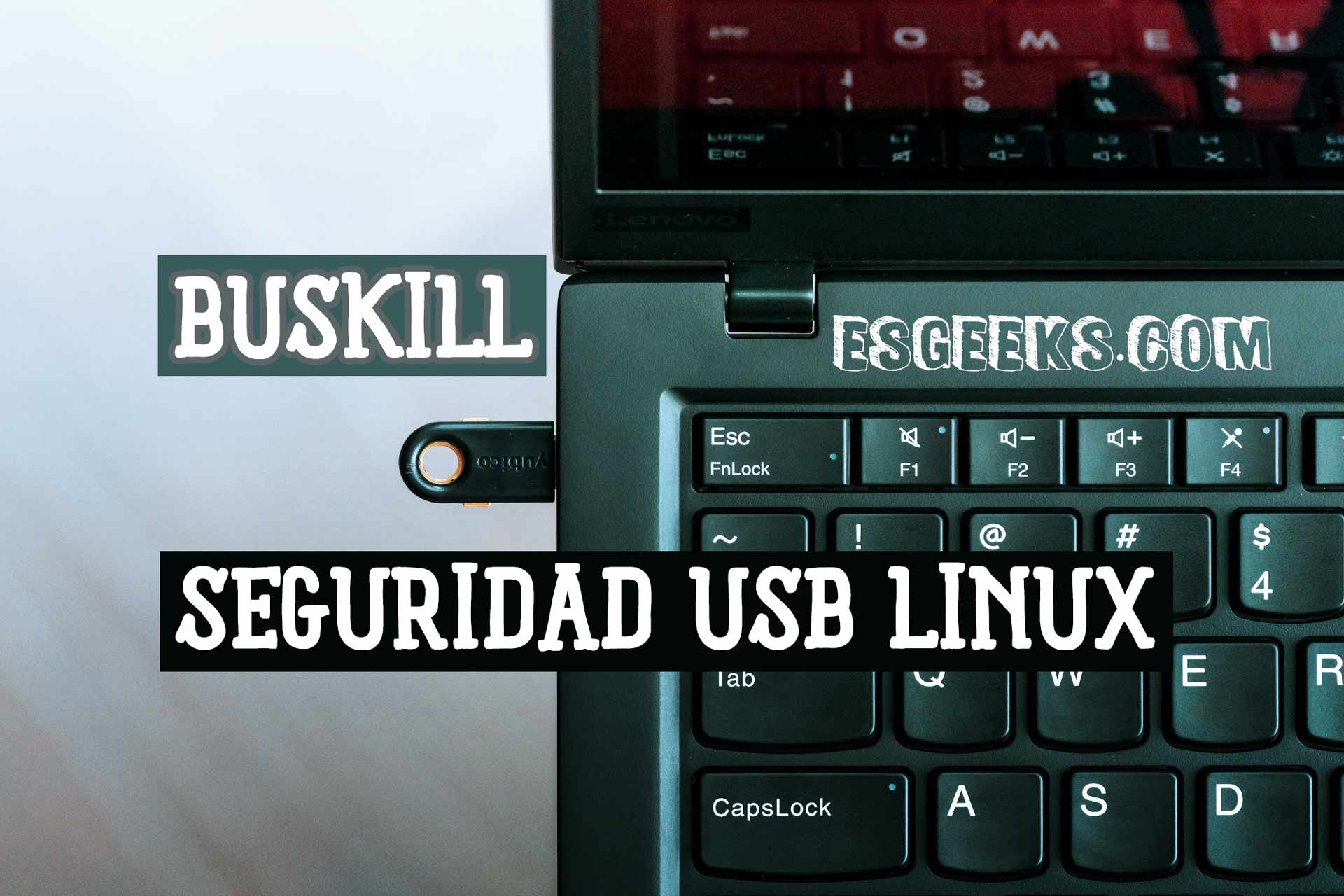 Buskill Seguridad Linux USB
