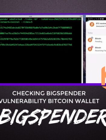 BigSpender Checking BigSpender Vulnerability Bitcoin Wallet