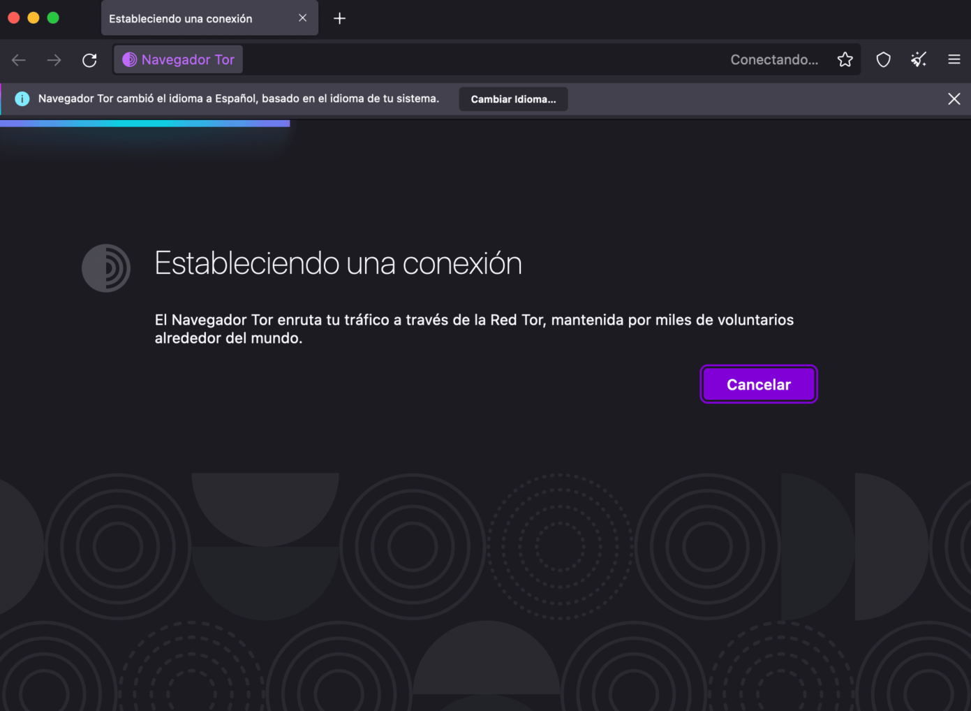 ¿Qué es la Deep Web y Para Qué Sirve? ¿Es Peligroso?
