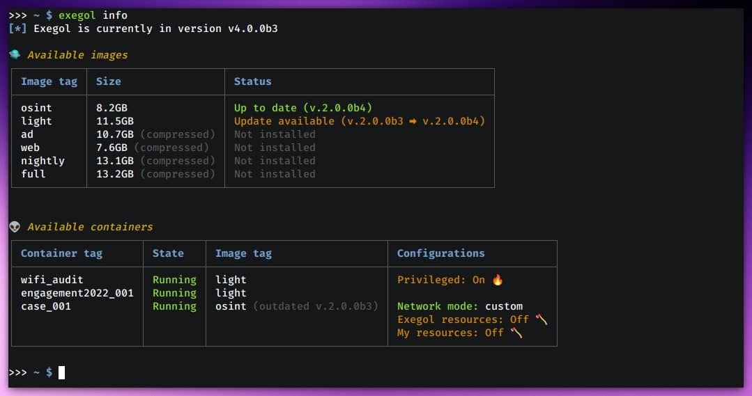 Terminal con el comando 'info' que muestra Información versión Exegol, junto con las imágenes y contenedores disponibles.
